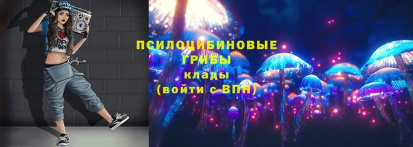спиды Алзамай