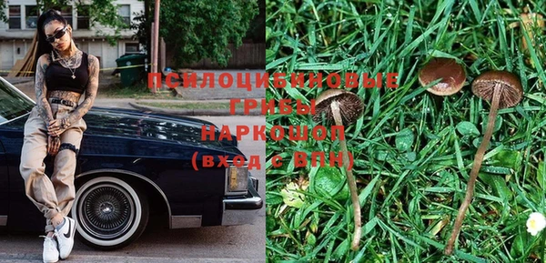 спиды Алзамай