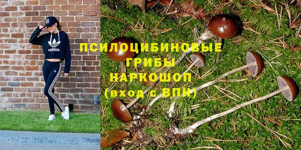 гидропоника Козловка