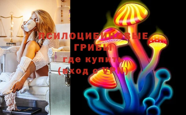 гидропоника Алексеевка