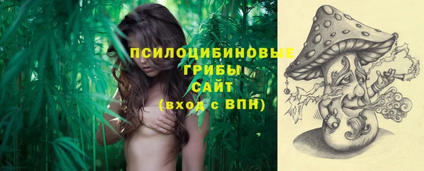 спиды Алзамай